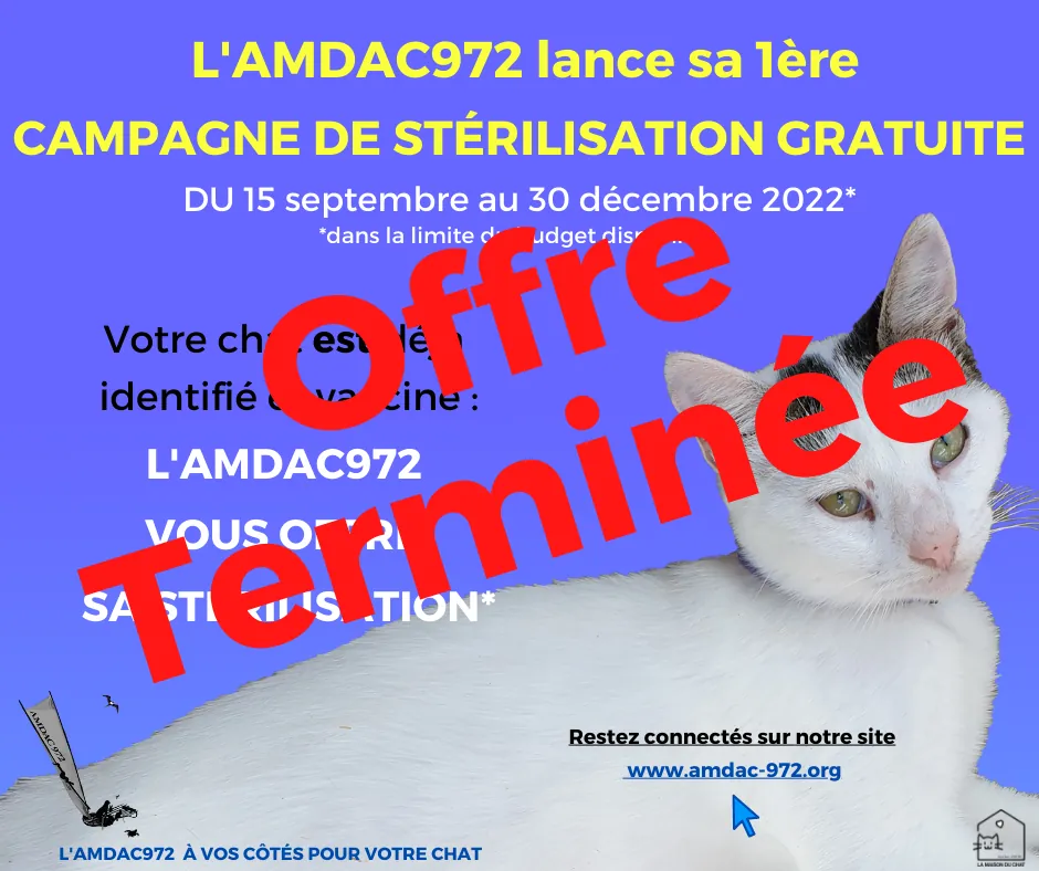 La première campagne de stérilisation gratuite, offre terminée