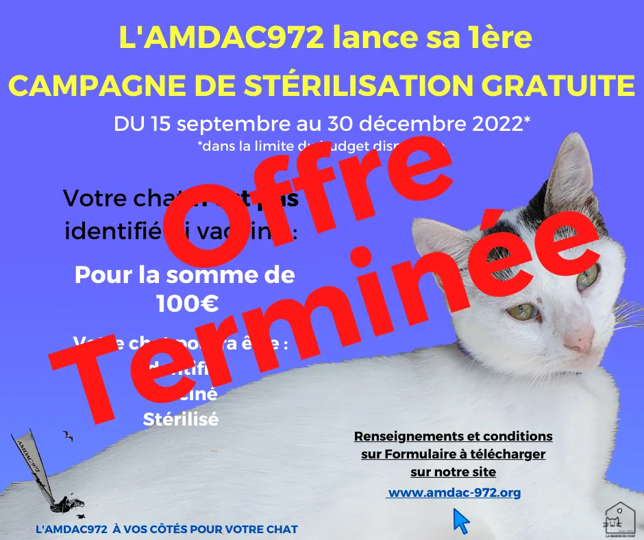 La première campagne de stérilisation gratuite, offre terminée