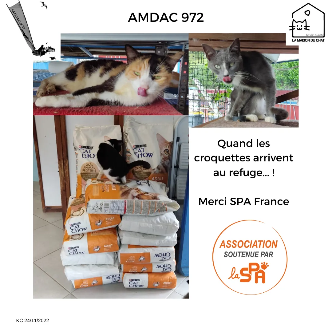 Quand les croquettes arrivent au refuge, merci SPA France