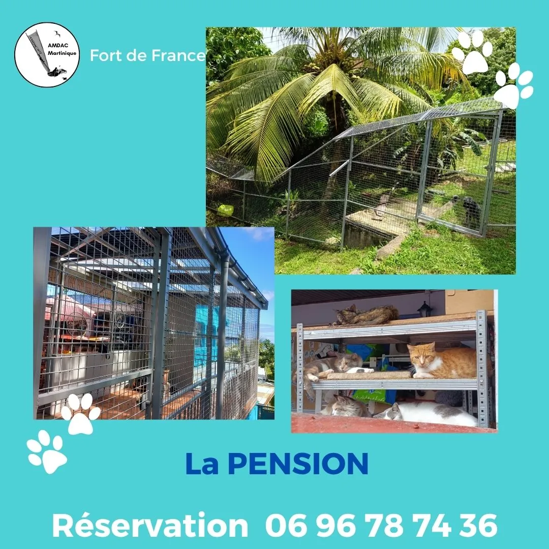 La pension, son espace extérieur : réservation au 0696 78 74 36