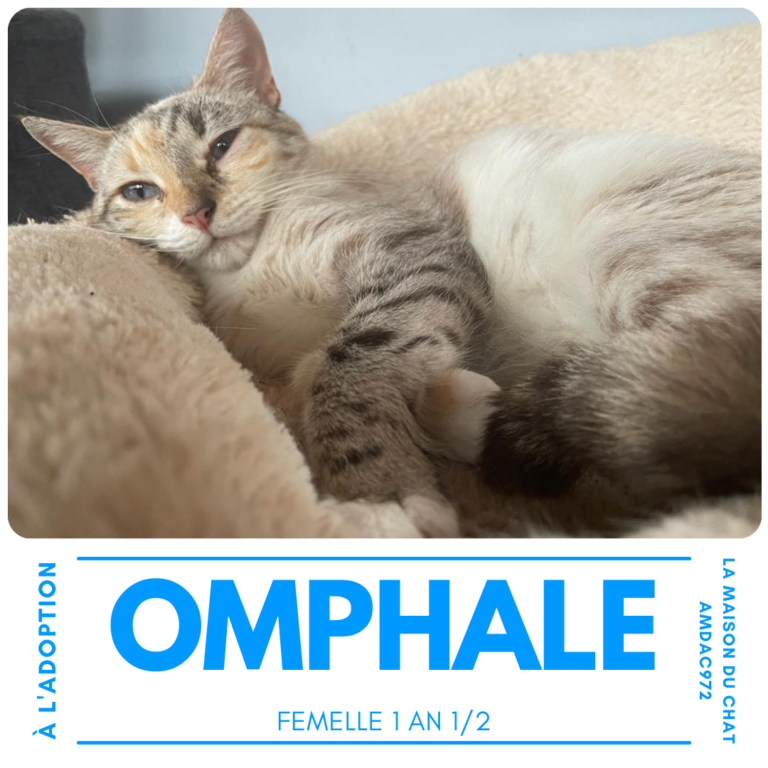 Omphale AMDAC972