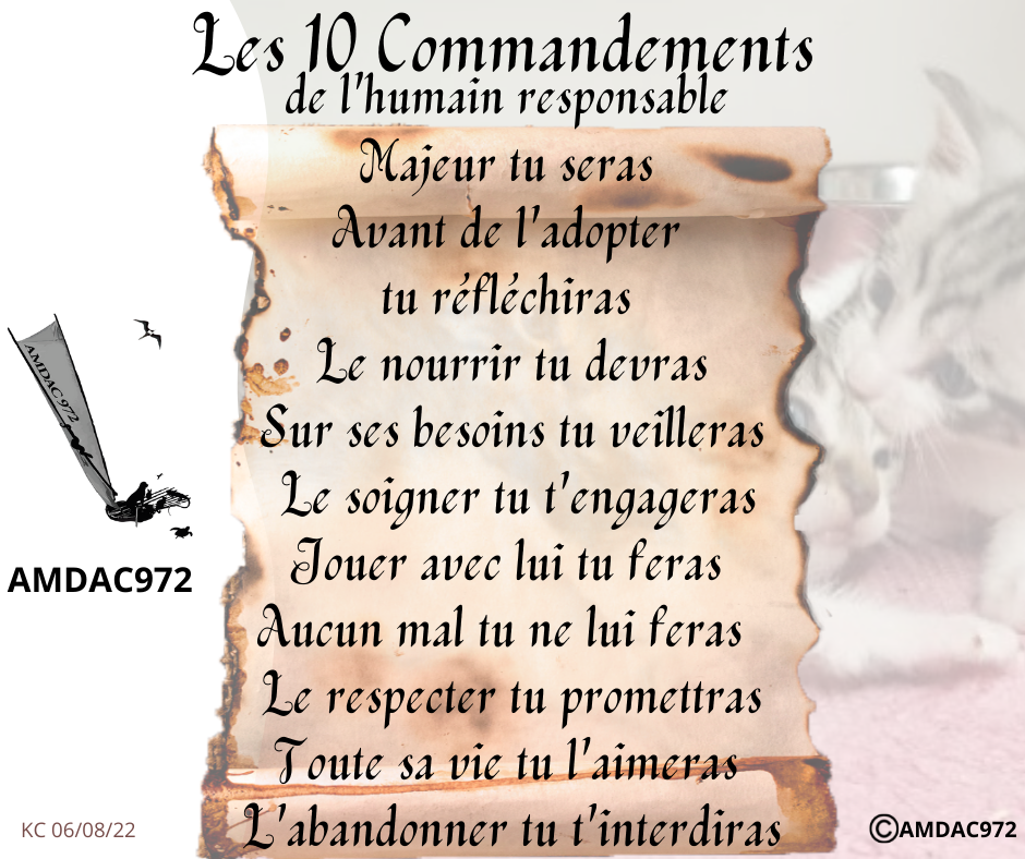 10 commandements humain resposable