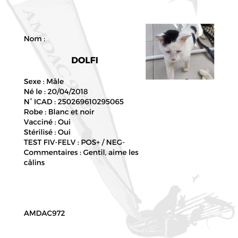 DOLFI AMDAC 972