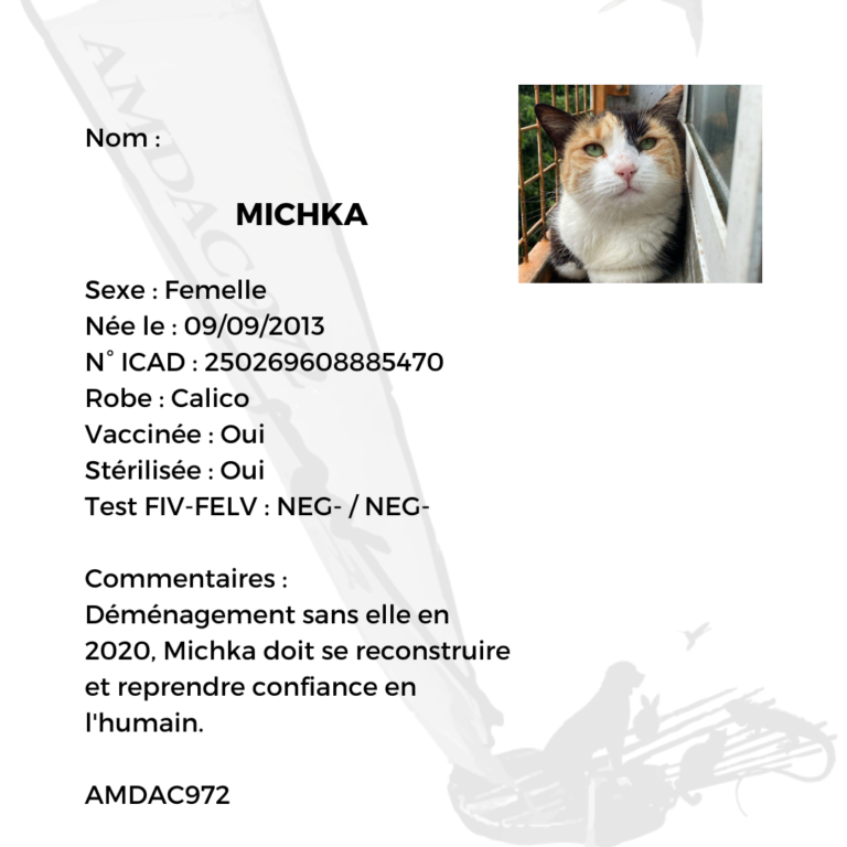 Identité MICHKA AMDAC972