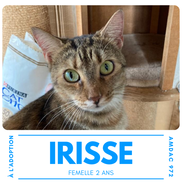 IRISSE AMDAC972