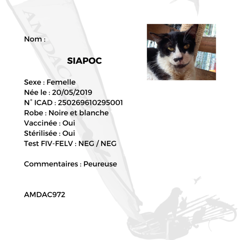 SIAPOC AMDAC972