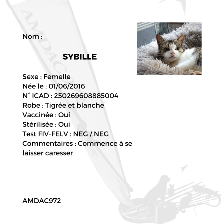 Sybille AMDAC972