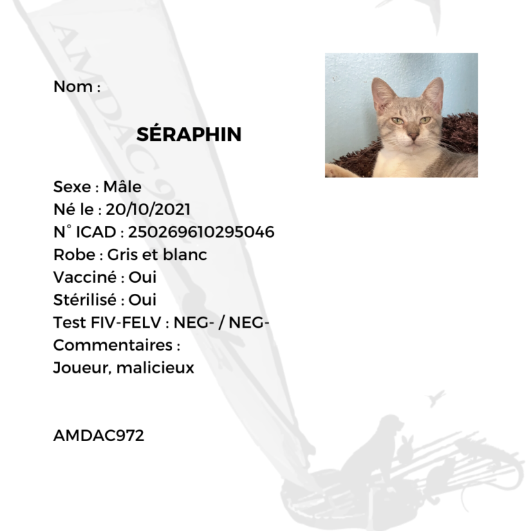 Seraphin AMDAC972