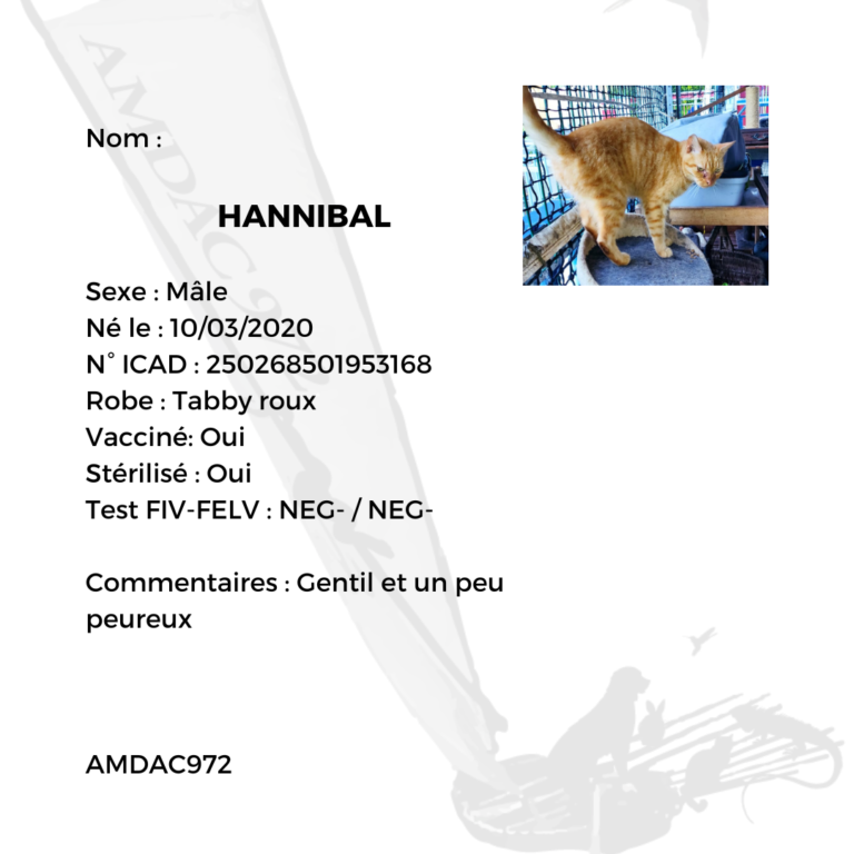 Identité Hannibal AMDAC972