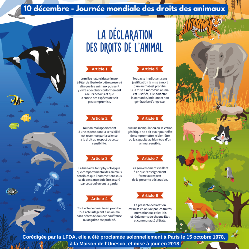 10 decembre journee droits des animaux