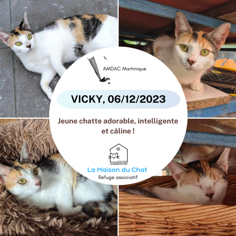 VICKY AMDAC Martinique