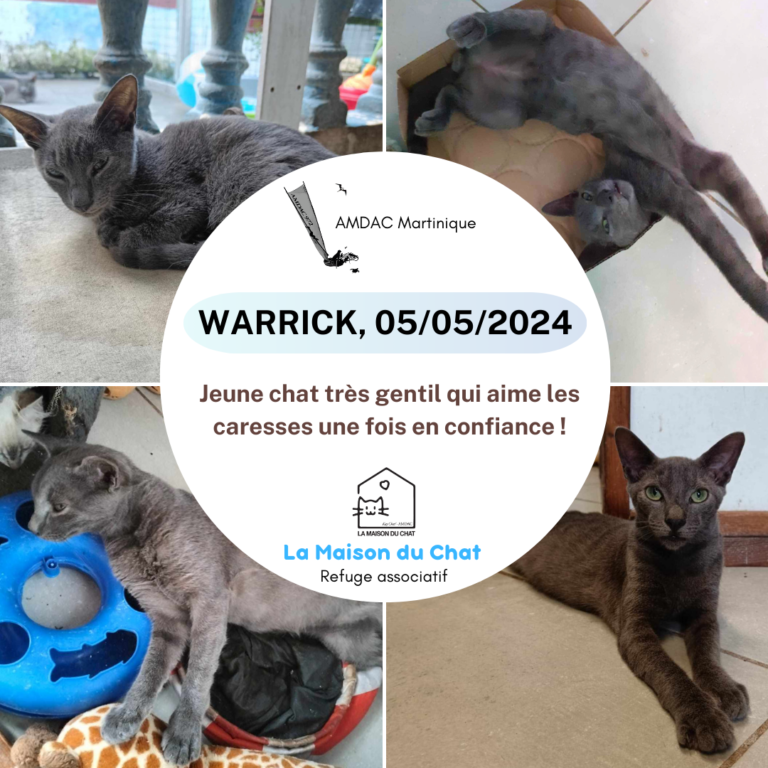 WARRICK AMDAC Martinique