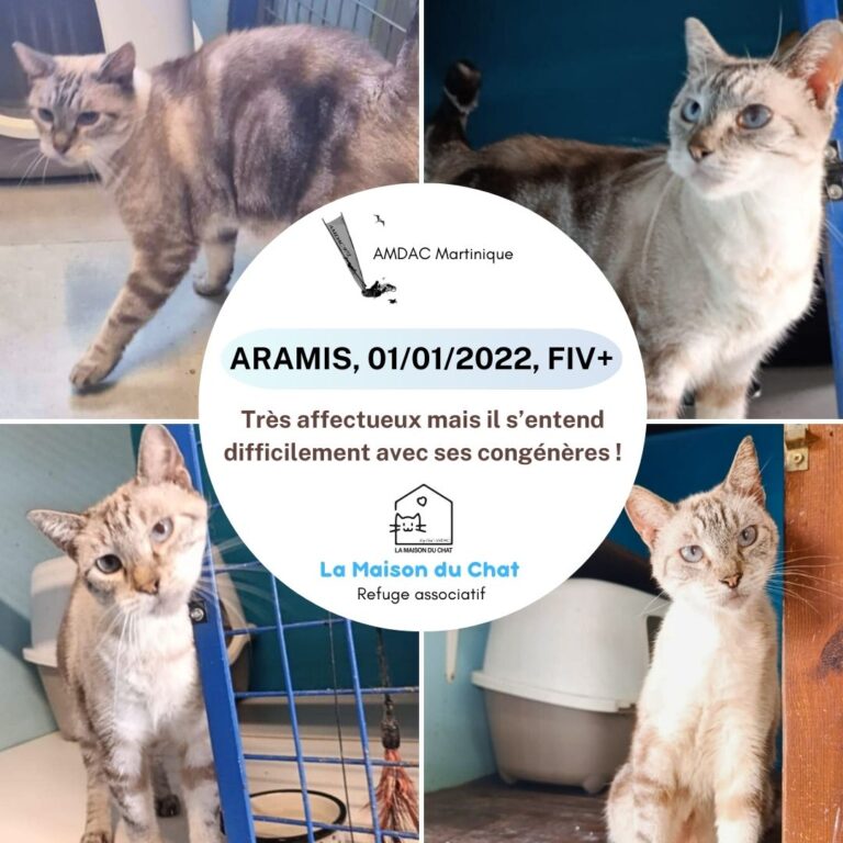 ARAMIS AMDAC Martinique