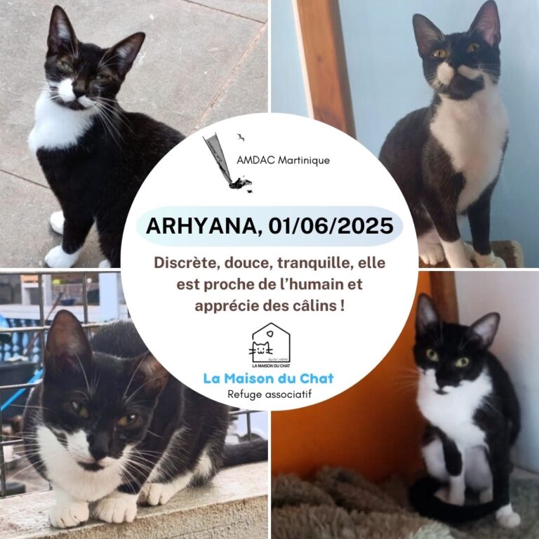 ARHYANA AMDAC Martinique
